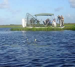 Airboat Cruise
