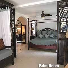 Casa Tortuga Palm Room