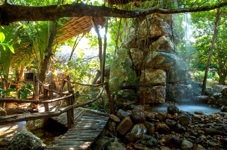 Xanadu Waterfall situated under mangrove jungle foliage