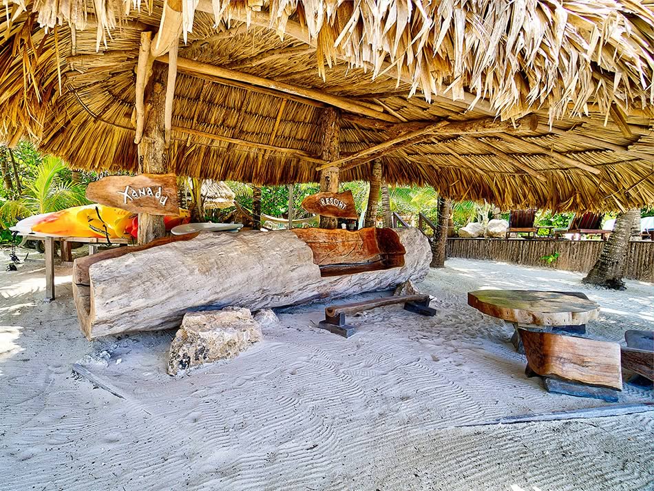 Thatched roof shed with logs in a garden