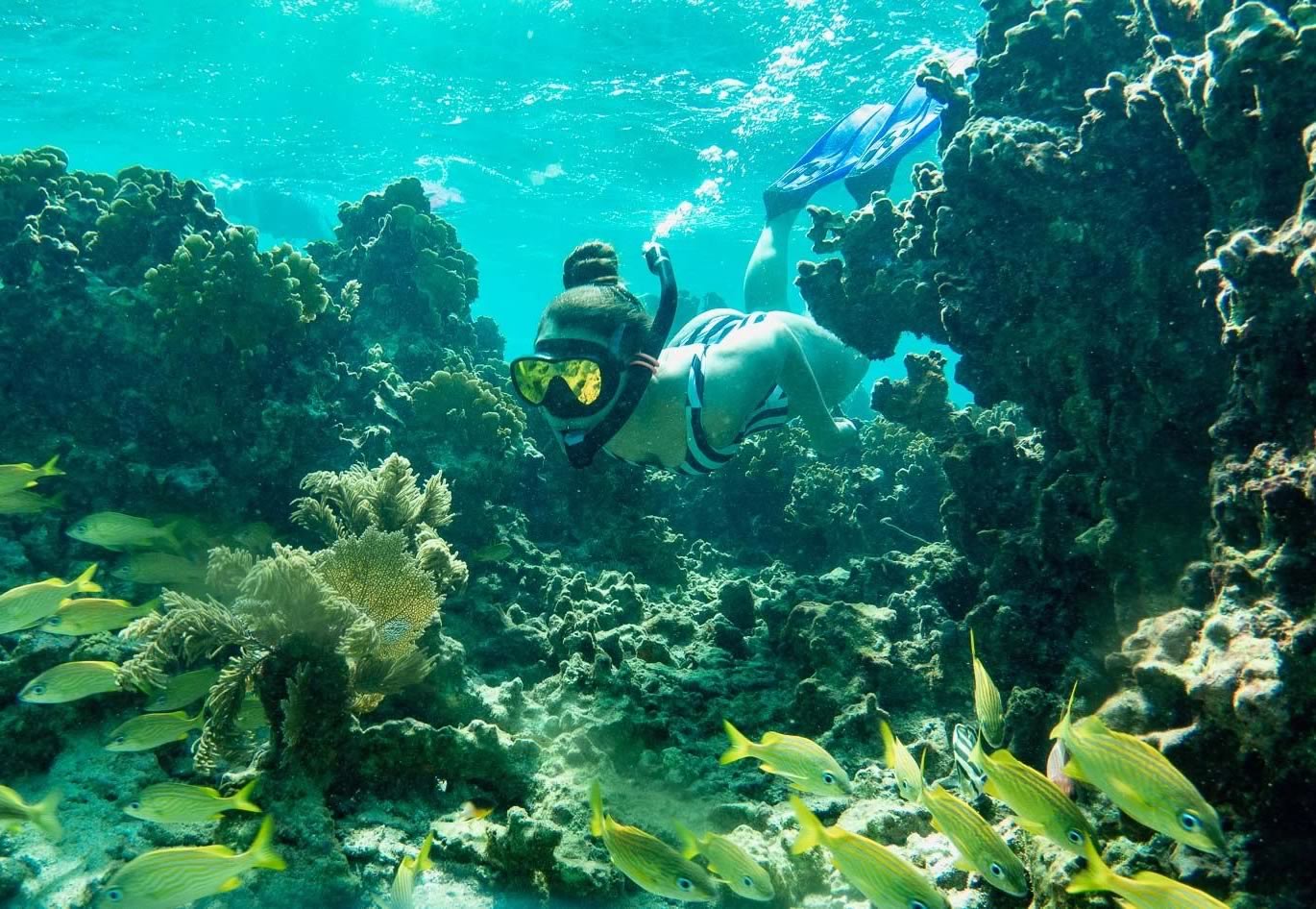 Snorkeling the reef at Blackbird Caye
