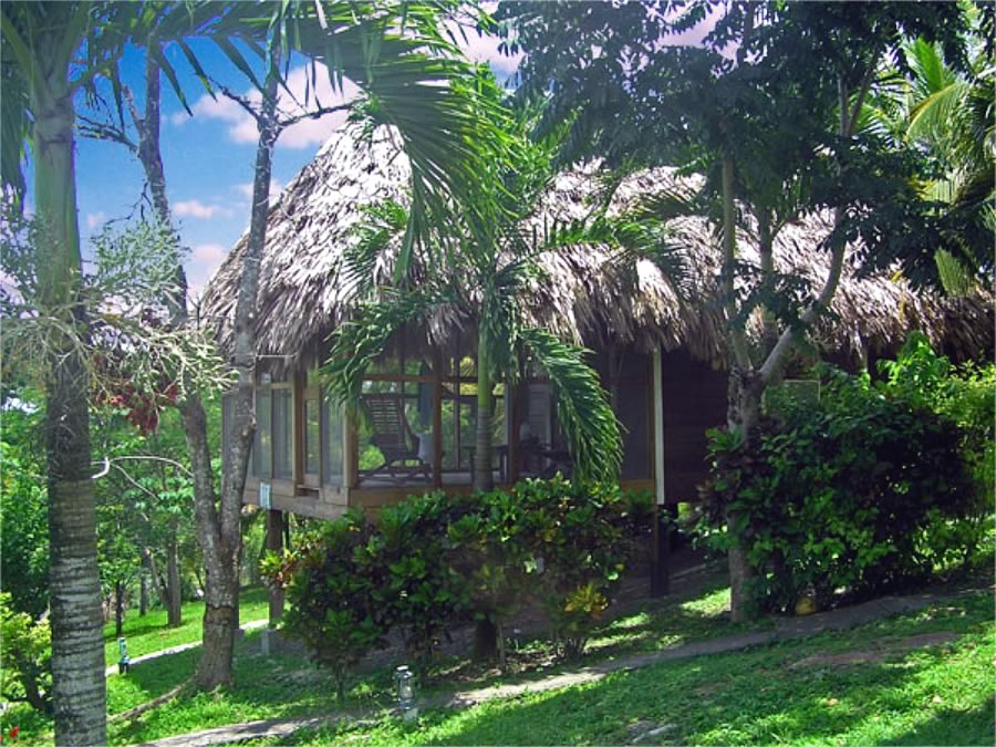 Standard Cabana with screen porch