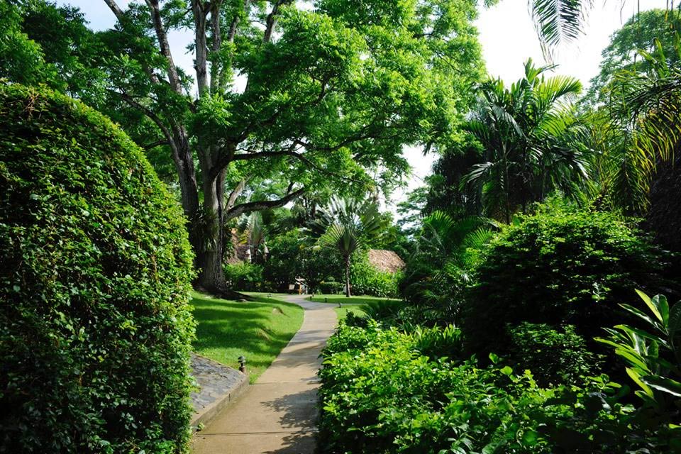Garden walkway on the grounds at Chaa Creek