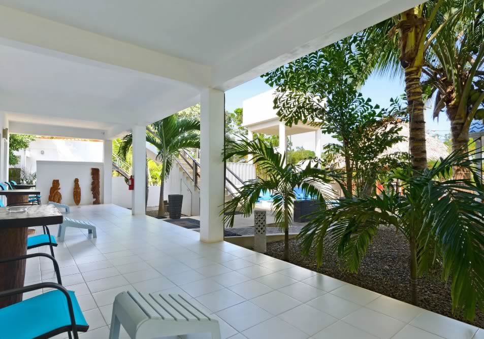 The grounds in the center of the guest house complex with a hugelkultur bed