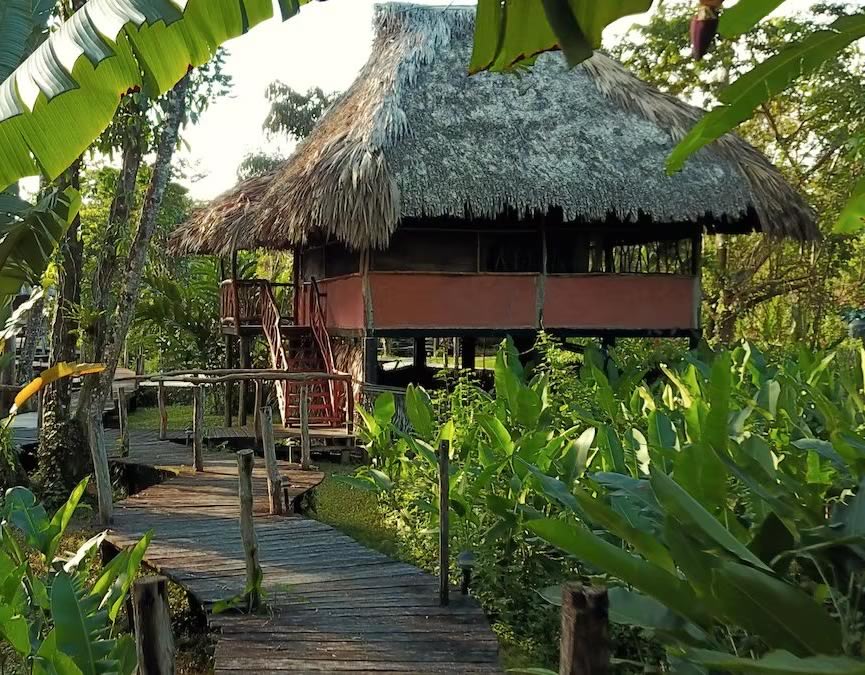 Cotton Tree Cabana on stilts