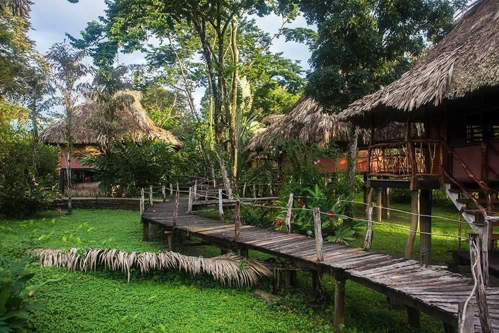 Cotton Tree Lodge cabanas connected by raised walkway