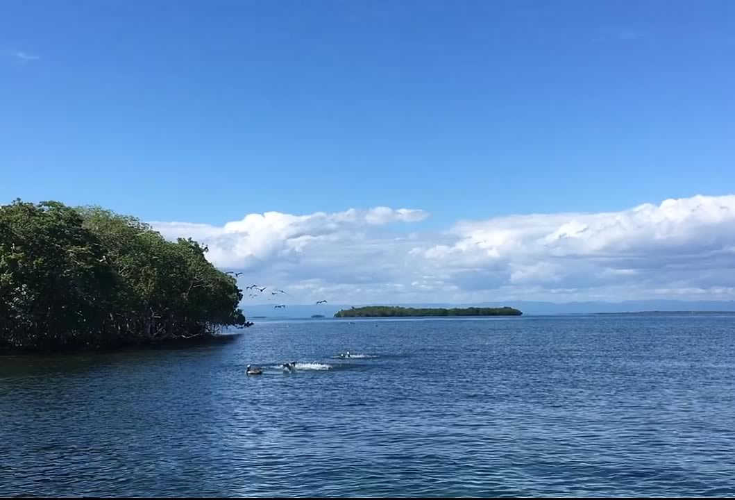 Two kayakers in the river