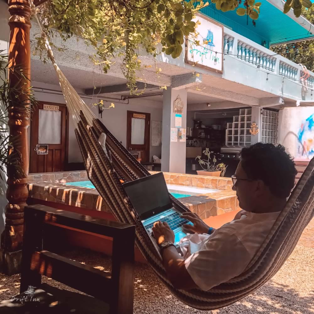 Guest with a laptop computer in a hammock under a tree