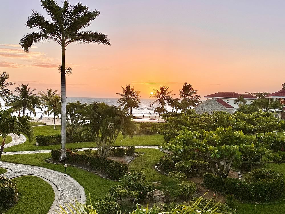 Hopkins Bay Gardens
