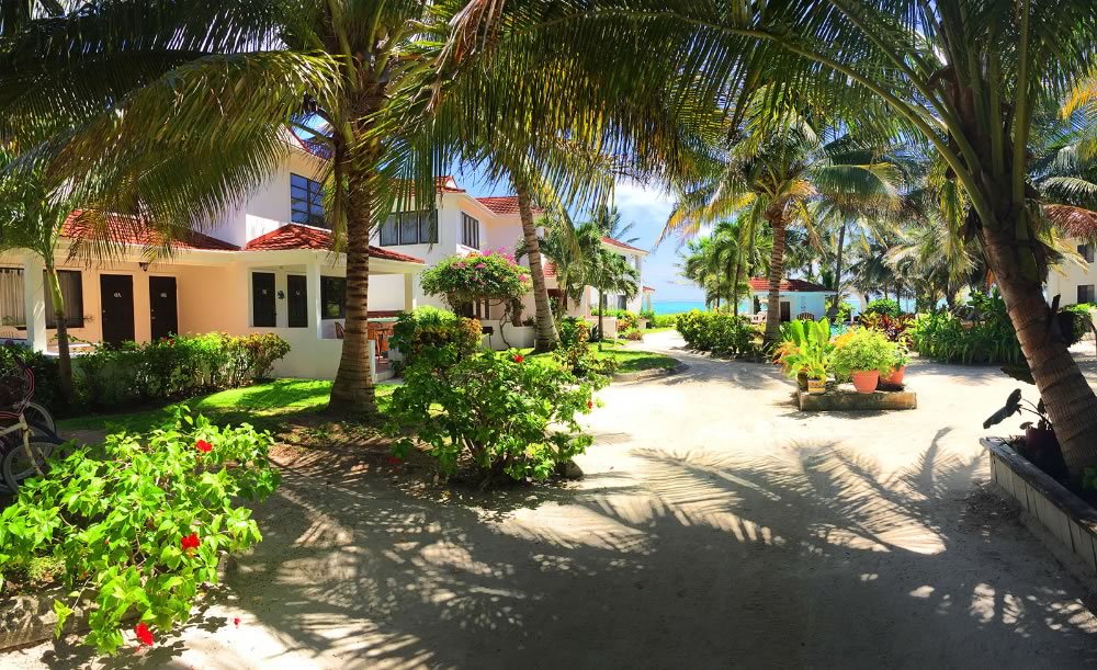 Walkway from interior to beach in garden and palm trees