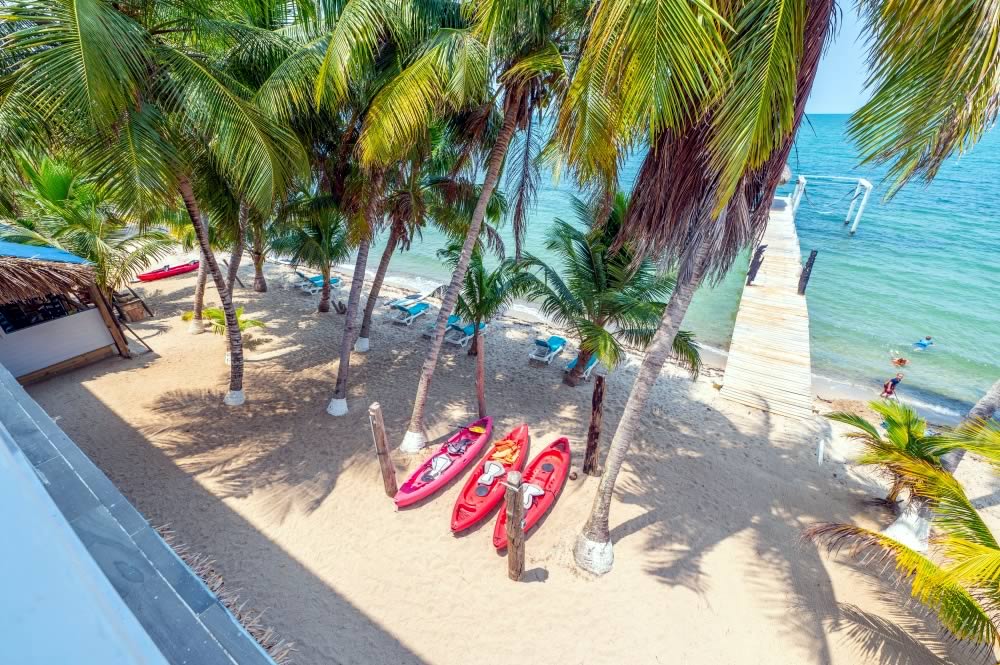 Parrot Cove Lodge aerial beach view