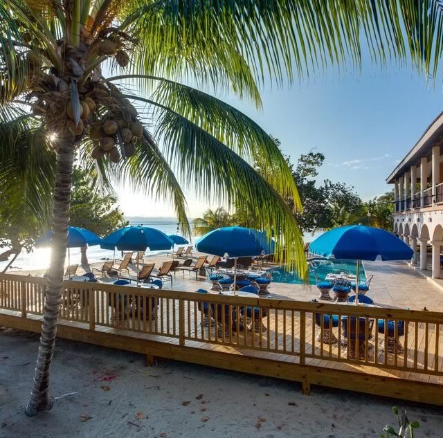 Beach umbrellas