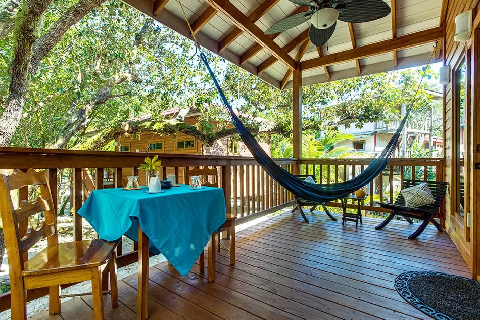 Treehouse exterior views in tree foulage