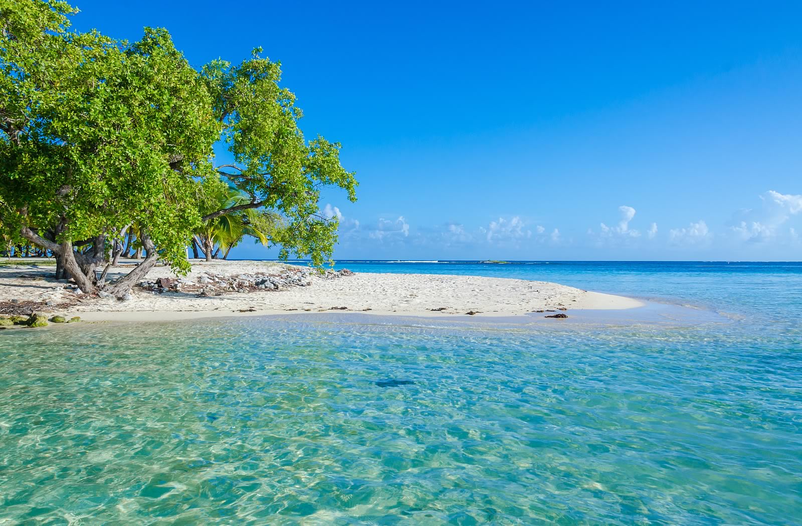 South Water Caye beach with turquoise waters