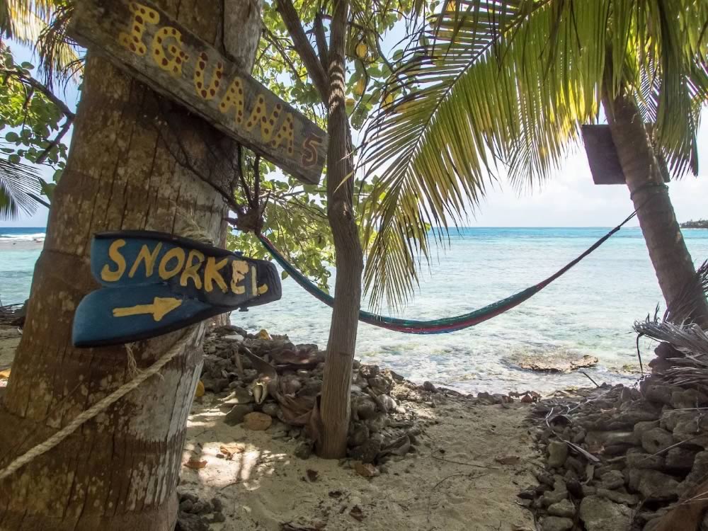 Snorkel sign nailed to a tree on Northeast Caye
