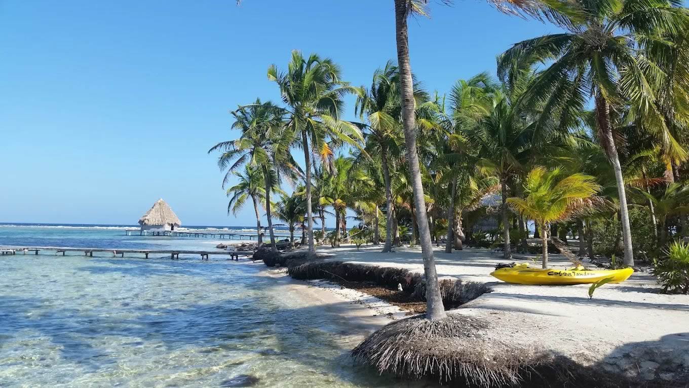 Northeast Caye beach, Glover's Atoll