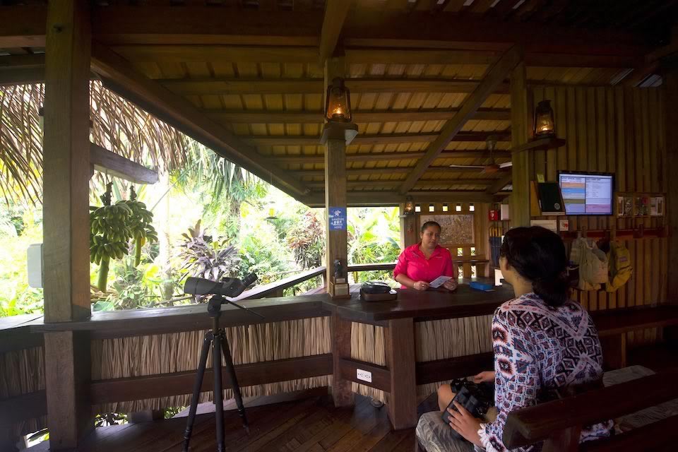 Interior of reception cabana at Lamanai
