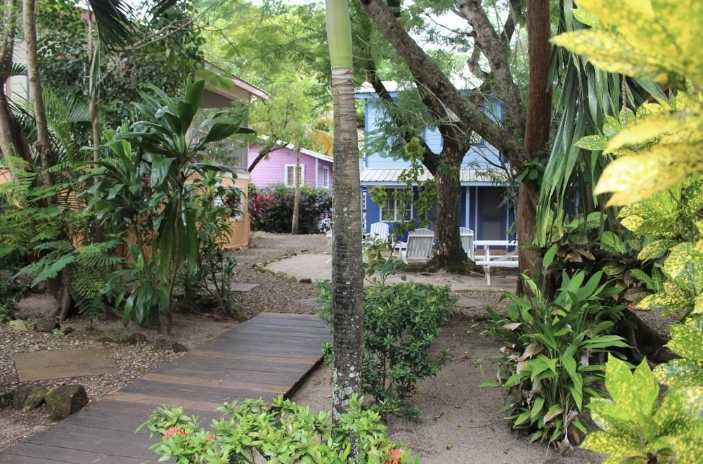 Open grounds with tropical plants