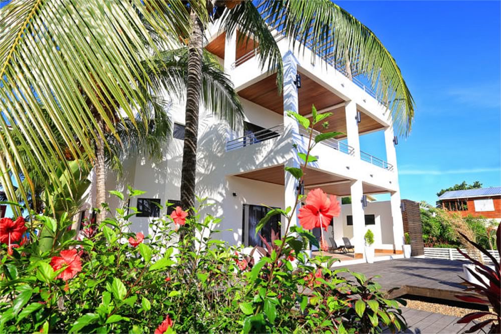 The Ellysian Hotel and pool surrounded by coconut trees