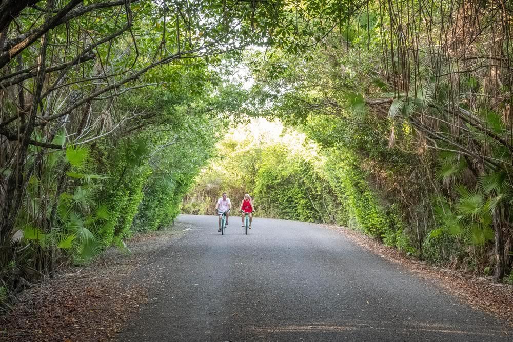 Bicycling on the highway with trees arching over it behind Naia Resort