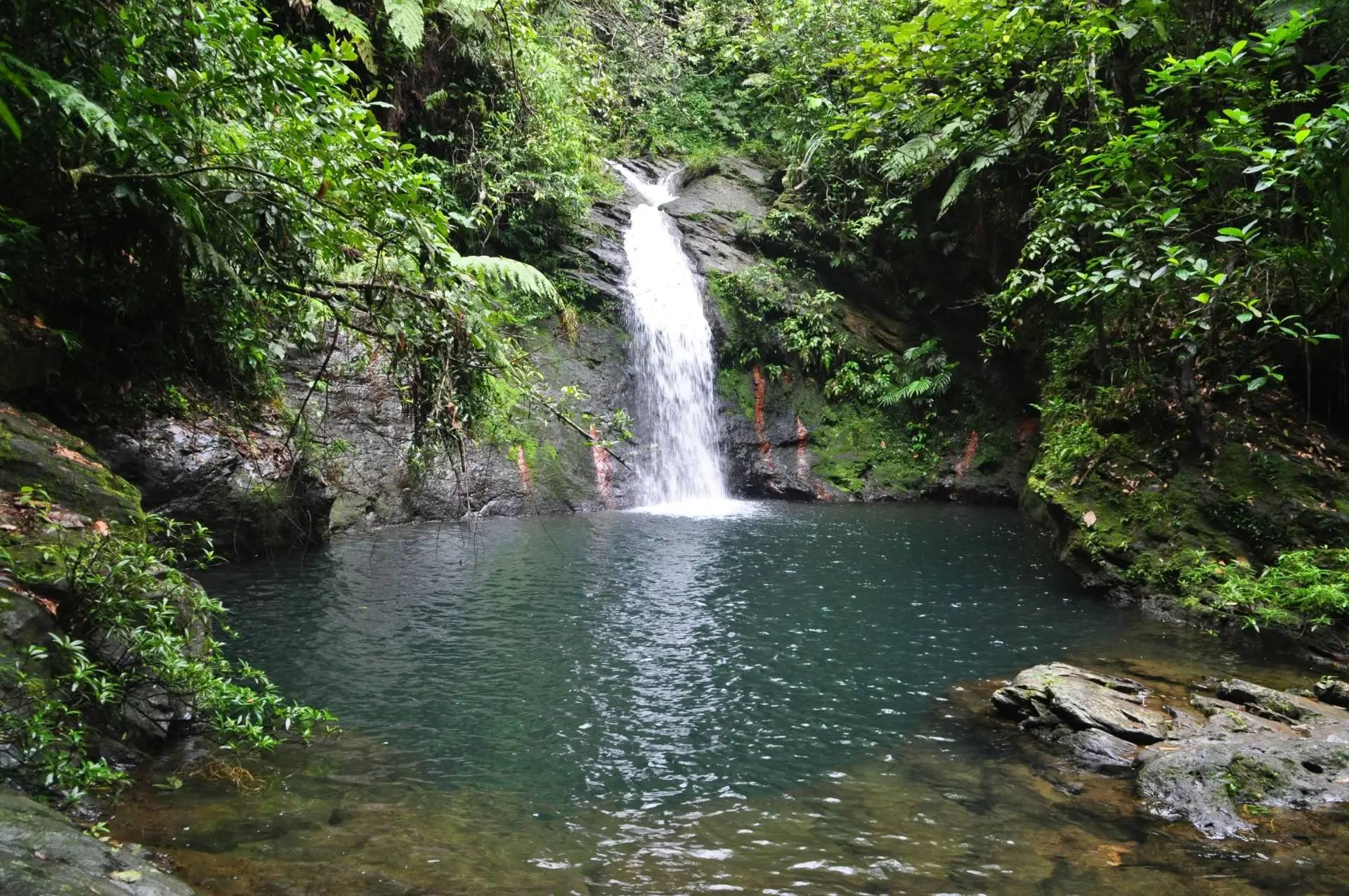 A waterfall at the Cockscomb Resrve