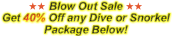 Blow Out Sale – Get 40% Off any Dive or Snorkel Package