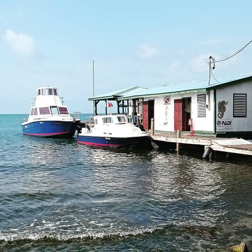 Seahorse Dive Shop with docked dive boats