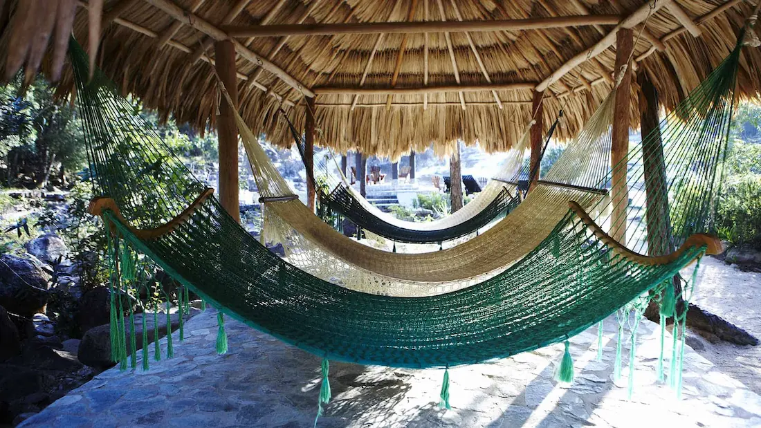Hammocks in outdoor area