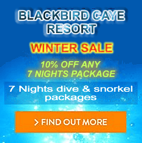 Blackbird Caye Resort Sale