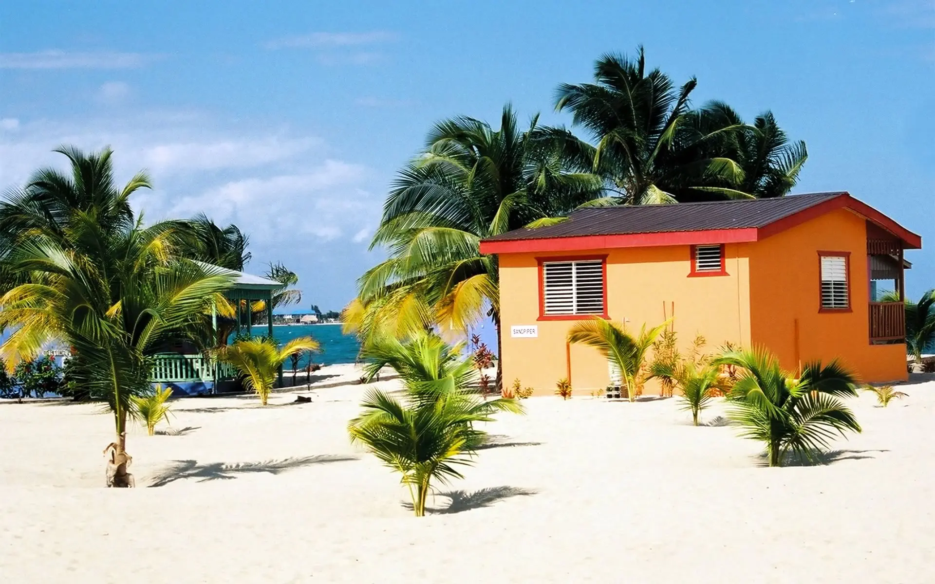 Deluxe cabanas facing the beach in Placencia