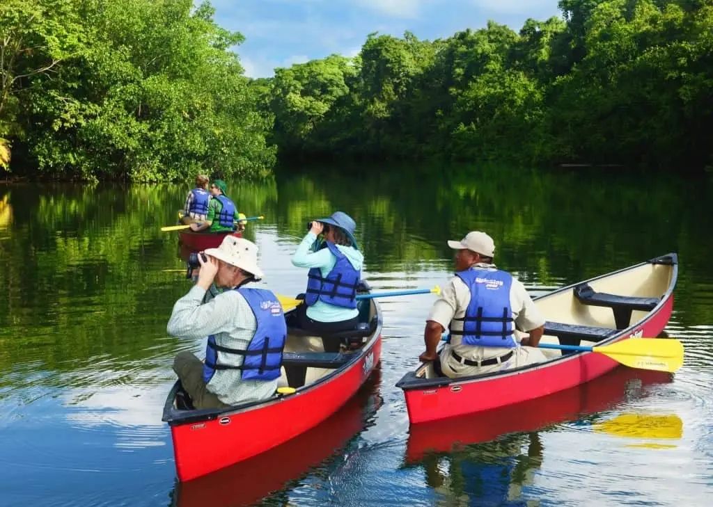 River kayaking tour