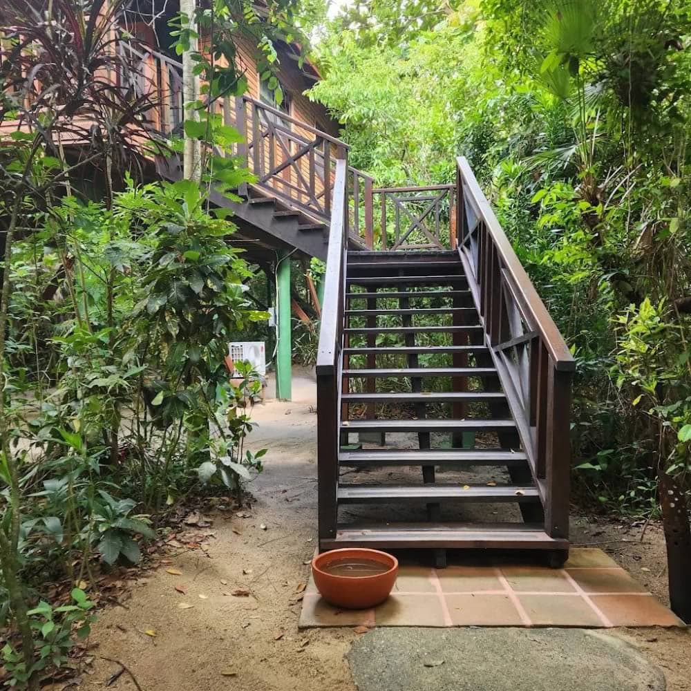Hamanasi suite stairs in scenic eco garden