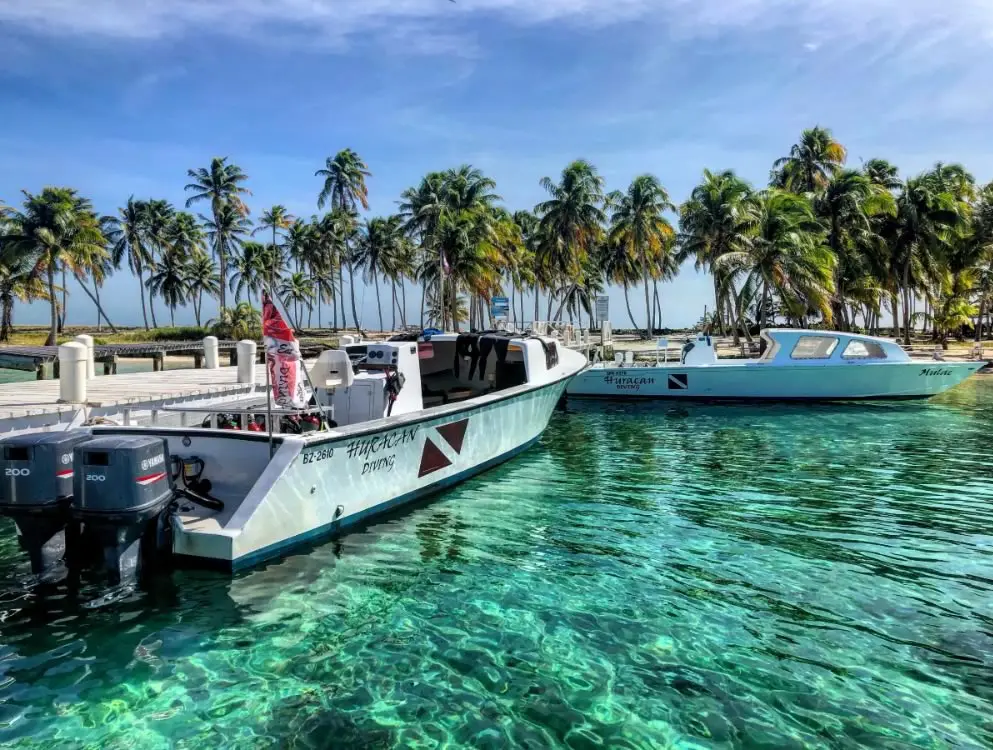 Dive boats