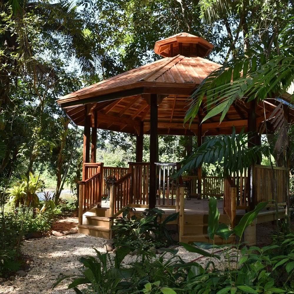 Gazebo surrounded by tropical vegetation at Caves Branch Jungle Lodge