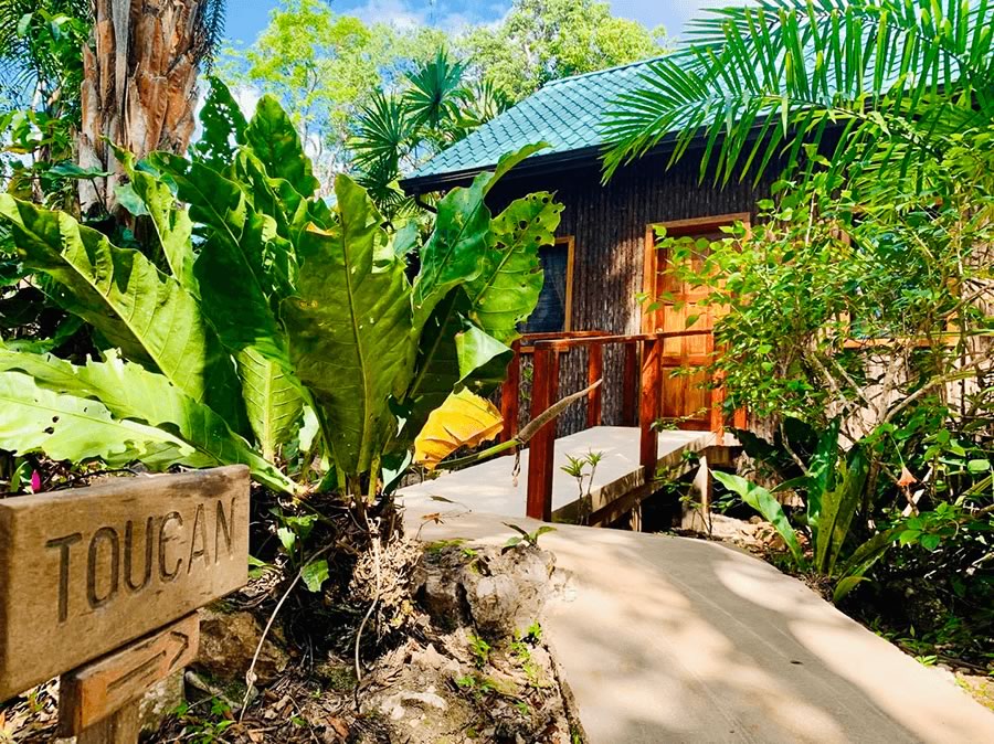 Toucan Cabana at Mariposa Jungle Lodge