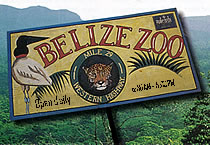 Belize Zoo