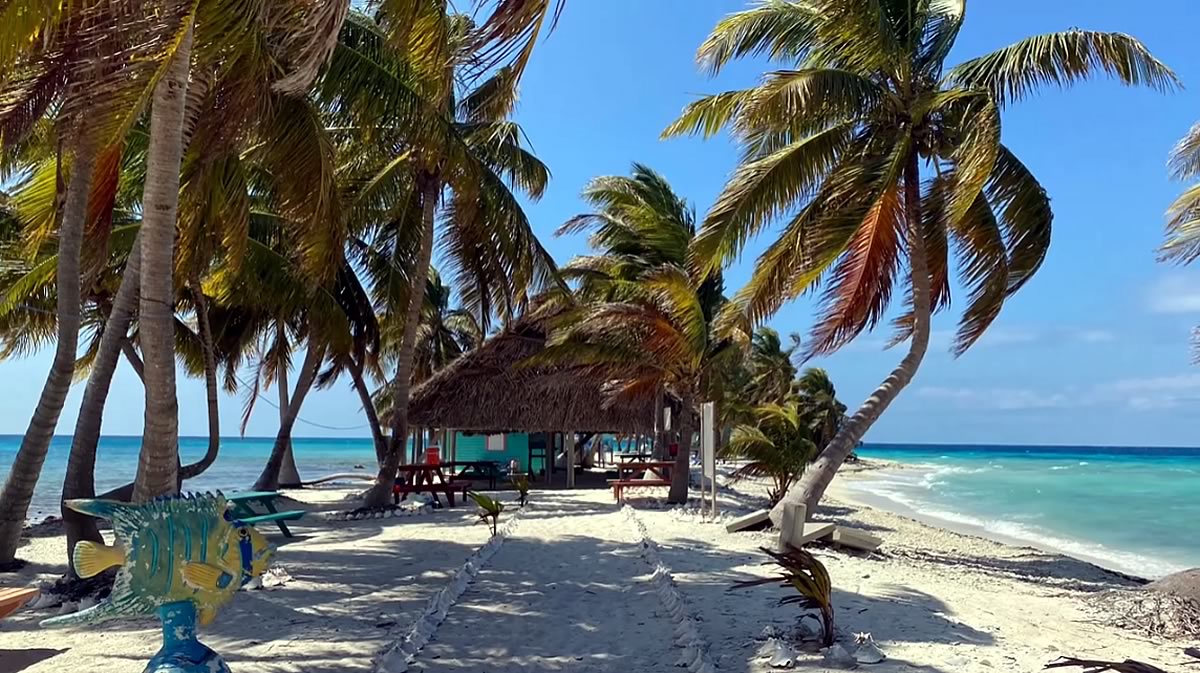 Laughing Bird Caye