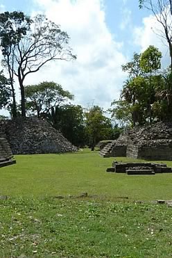 Lubaan M