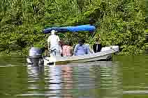Boat taking people up Monkey River