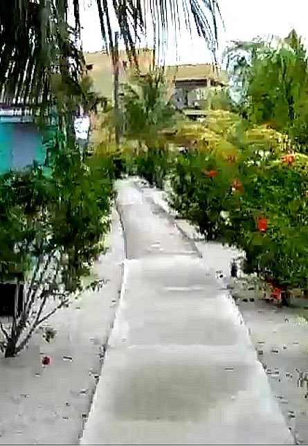 Placencia narrow main street