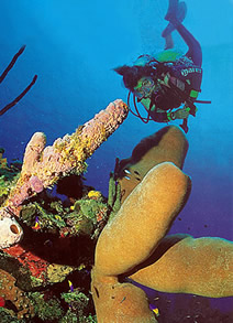 Belize Location