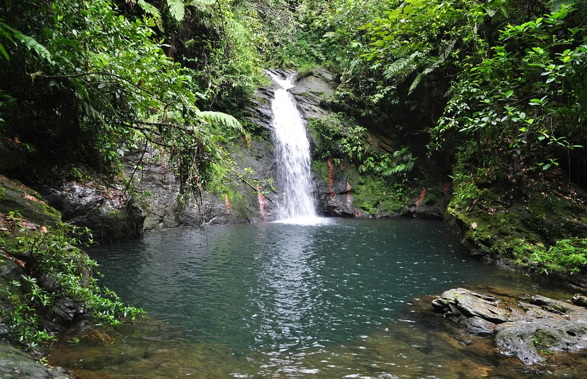A waterfall at the Cockscomb Resrve